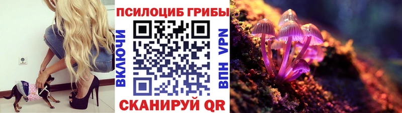 Псилоцибиновые грибы MAGIC MUSHROOMS Павловск