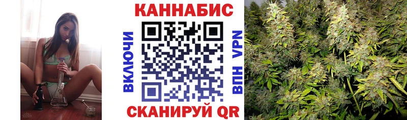 Бошки марихуана сатива Павловск